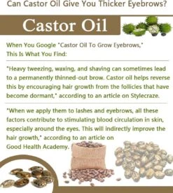 Your Beauty Tree ® Wimper Serum Met Echte Castor Olie |100% Natuurlijke Wimpergroei| Castor Oil Eyelash Serum|Wonder Olie | Wimper Groei | Wenkbrauw Serum | Lash Serum | Wimper Groeimiddel 13 Your Beauty Tree ® Wimper Serum Met Echte Castor Olie |100% Natuurlijke Wimpergroei| Castor Oil Eyelash Serum|Wonder Olie | Wimper Groei | Wenkbrauw Serum | Lash Serum | Wimper Groeimiddel -Cosmeticawinkel 1075x1200 5