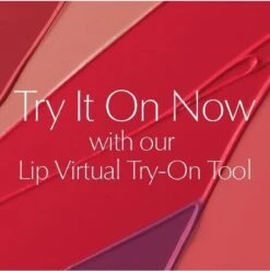 Estée Lauder Pure Color Envy Sculpting Lipstick - 340 Envious -Cosmeticawinkel 1193x1200 4