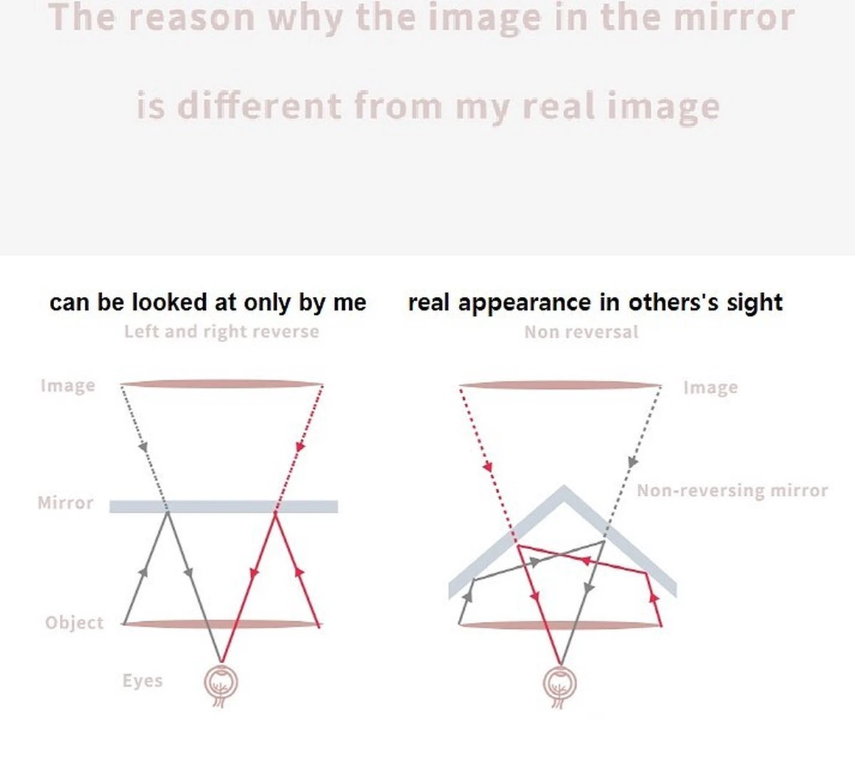 MRMR - The Non-reversing Mirror - Zonder Links & Rechts Gespiegeld - Make Up Spiegel 9 MRMR - The Non-reversing Mirror - Zonder Links & Rechts Gespiegeld - Make Up Spiegel - Afbeelding 7