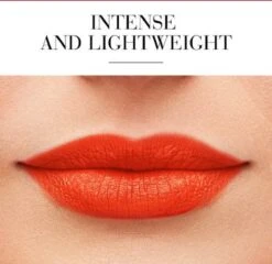 Lippenstift Rouge Fabuleux Bourjois -Cosmeticawinkel 1200x1167 17