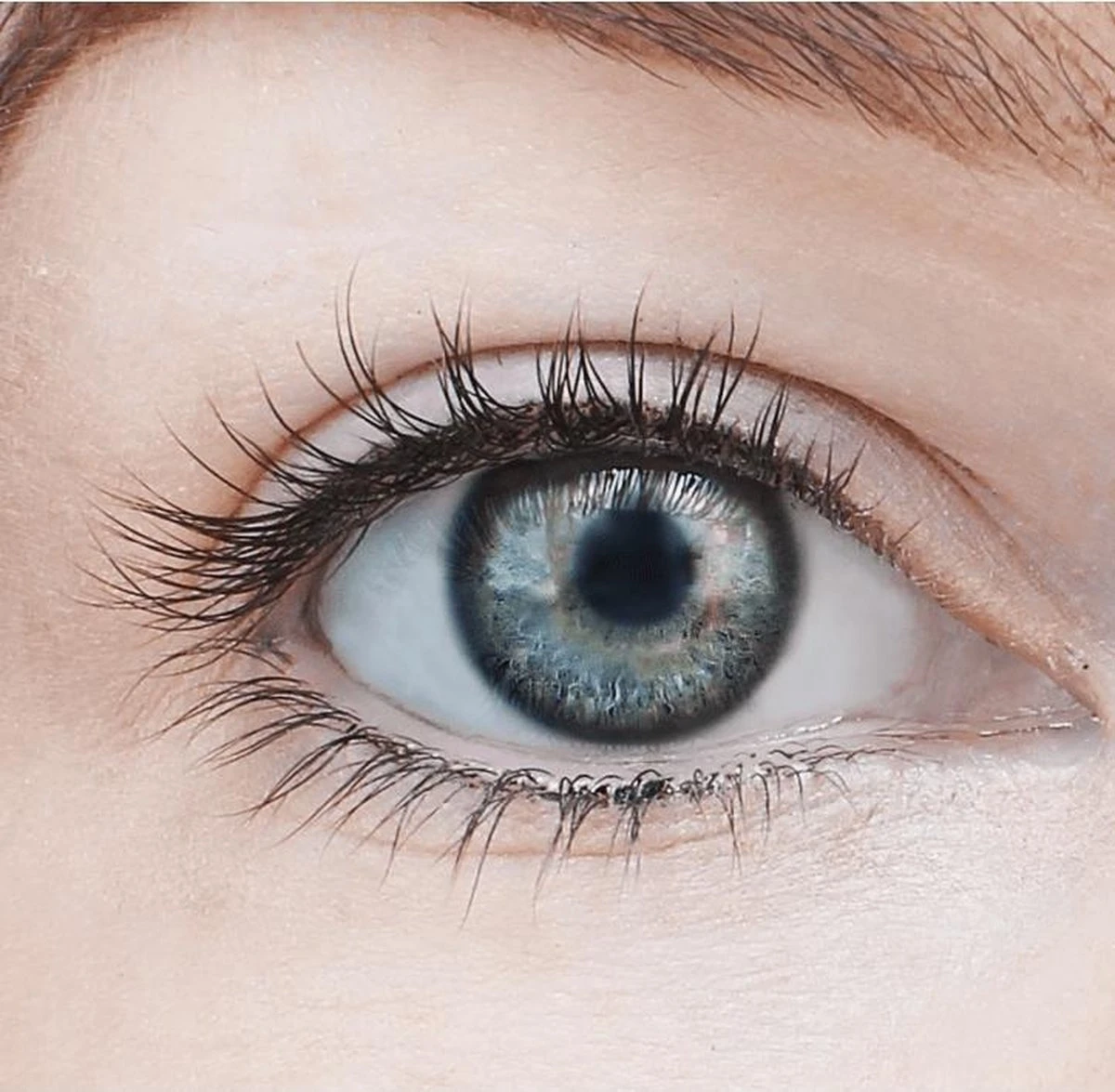 Max Factor Lash Revival Mascara - 001 Black 14 Max Factor Lash Revival Mascara - 001 Black - Afbeelding 12