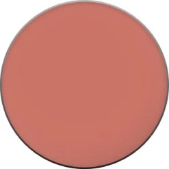 L'Oréal Paris True Match Blush - 145 Bois De Rose -Cosmeticawinkel 1200x1200 239