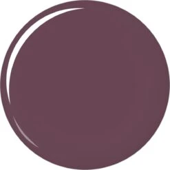 Maybelline Color Sensational - 338 Midnight Plum - Paars - Lippenstift -Cosmeticawinkel 1200x1200 442