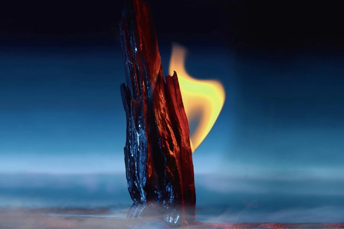 Dior Sauvage Parfum Pure Parfum 200ml 10 Dior Sauvage Parfum Pure Parfum 200ml - Afbeelding 8