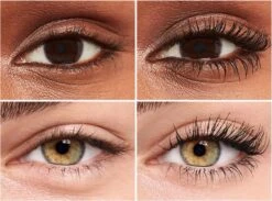 Rimmel London Wonder'Volume Thrill Seeker Mascara - 001 Extreme Black 13 Rimmel London Wonder'Volume Thrill Seeker Mascara - 001 Extreme Black -Cosmeticawinkel 1200x888 1