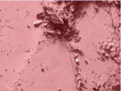 MAC Cosmetics Blush Mocha 9 MAC Cosmetics Blush Mocha -Cosmeticawinkel 1200x906 1